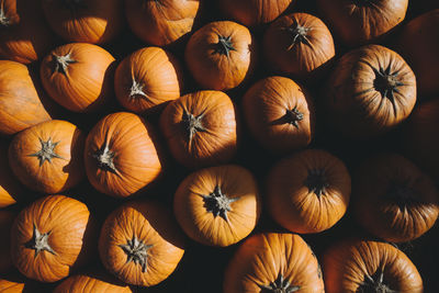 Full frame shot of pumpkins