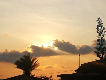 Low angle view of silhouette palm trees against sky during sunset