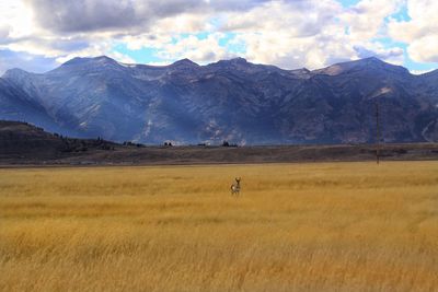 Scenic view of landscape and mountains against sky