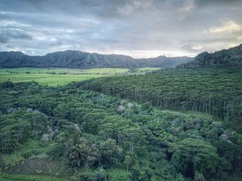 High angle view of agricultural field against sky