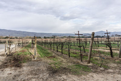 Wooden posts on field against sky