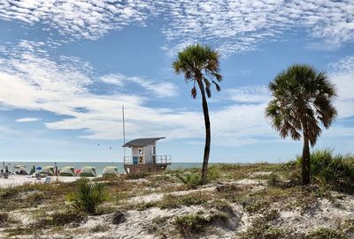 Palm trees on beach against sky