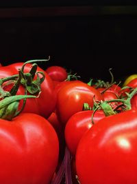 Close-up of tomatoes