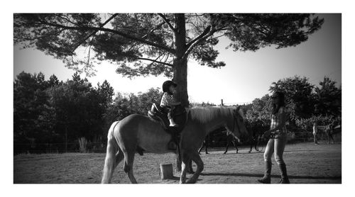 Horses standing on landscape against sky