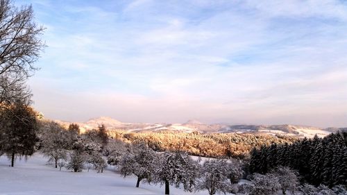 Scenic view of snow covered landscape