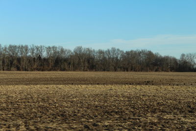 Scenic view of field against clear sky