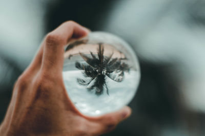 A hand holding crystal ball