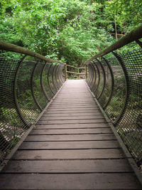 Footbridge over footpath amidst trees
