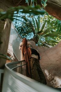 Low angle view of woman looking at tree