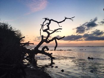 Scenic view of sea at sunset