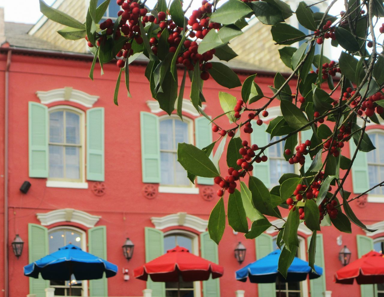 LOW ANGLE VIEW OF RED HOUSE HANGING ON HOUSES