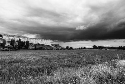 Scenic view of field against sky