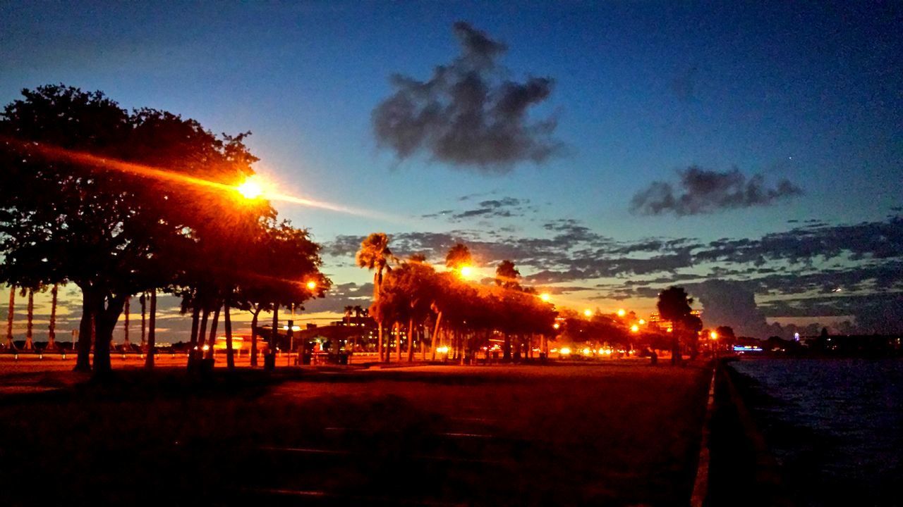 SILHOUETTE TREES BY ILLUMINATED CITY AGAINST SKY DURING SUNSET