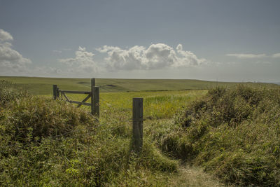 Scenic view of grassy field against sky