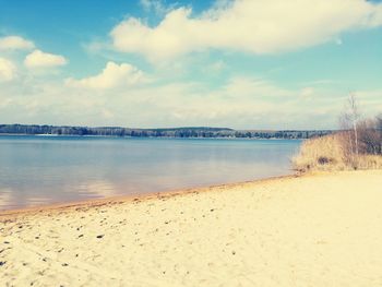 Scenic view of beach against sky