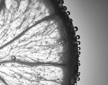 Close-up of water drops on glass against white background