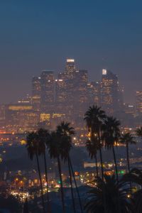 Palm trees by illuminated city against sky at night