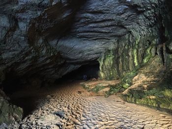 Rock formations in forest