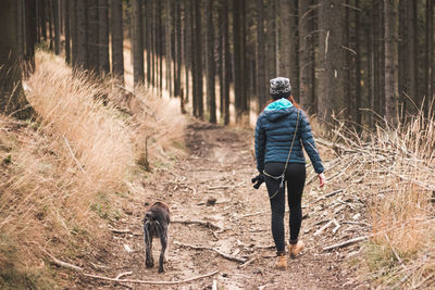 Rear view of woman with dog walking in the forest