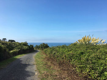 Scenic view of road by sea against clear sky
