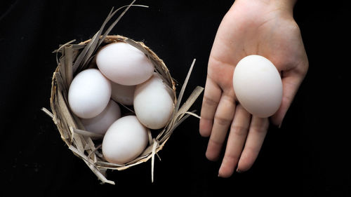 Close-up of hand holding eggs against black background