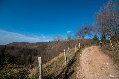 Road amidst plants and trees against blue sky