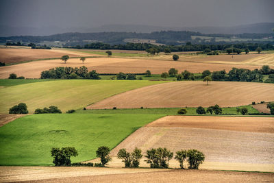 Scenic view of landscape