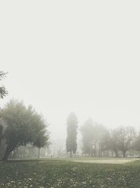 Trees on field against clear sky