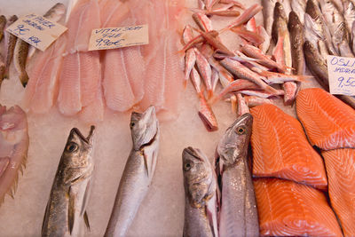 Close-up of seafood for sale