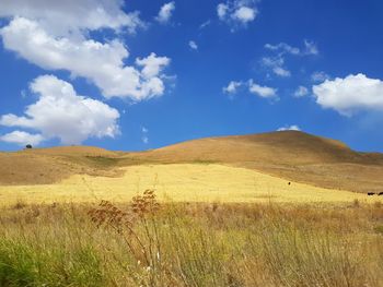 Scenic view of field against blue sky