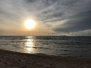 Silhouette birds flying over sea against sky during sunset