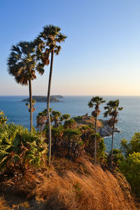 Scenic view of sea against clear sky