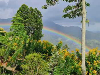 Scenic view of rainbow against sky