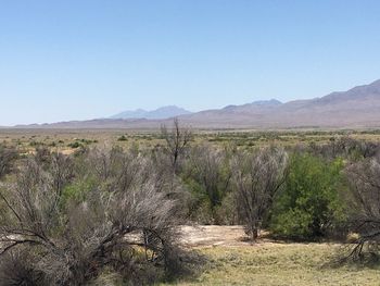 Scenic view of landscape against clear sky
