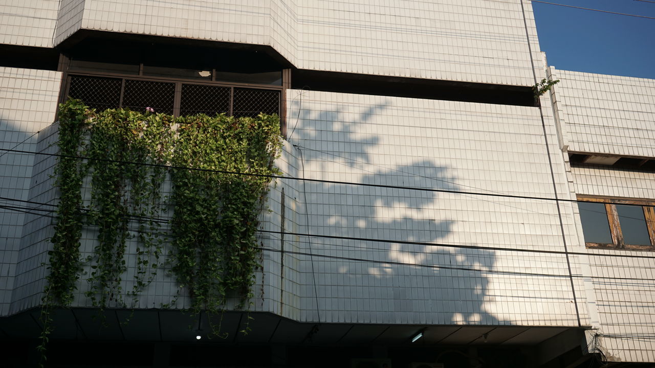 LOW ANGLE VIEW OF BUILDINGS AGAINST SKY