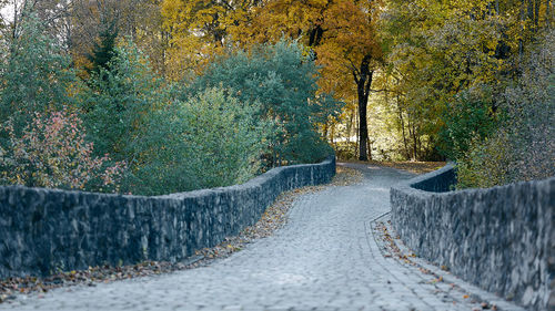 Empty road along trees during autumn