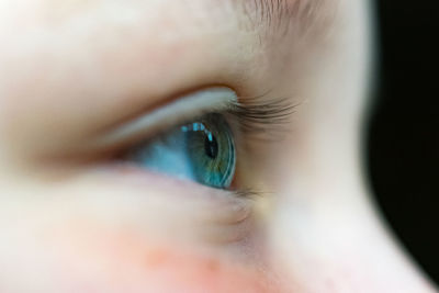 Close-up of human eye