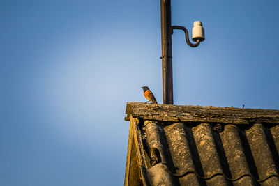 Low angle view of bird perching on roof against clear sky