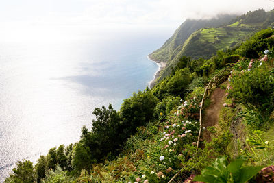 High angle view of trees by sea against sky