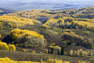 Scenic view of landscape