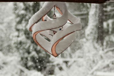 Close-up of snow covered hanging on tree