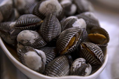 Close-up of shells in basket