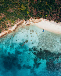 Aerial view of boat moored at shore