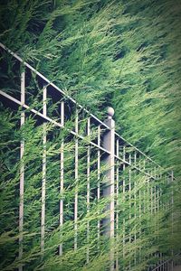Scenic view of green landscape