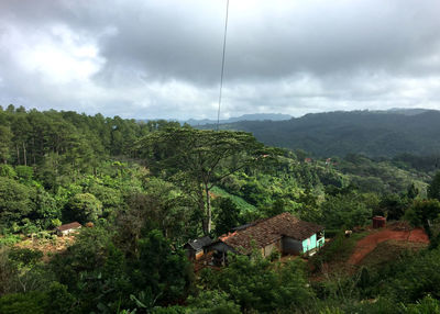 Trees and houses on mountain against sky