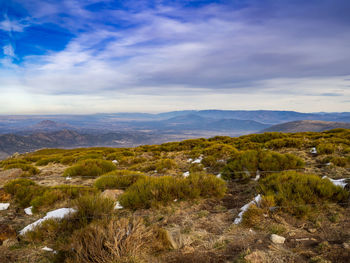 Scenic view of landscape against sky