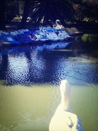 View of water in water