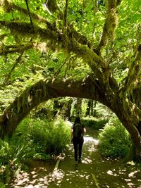 Rear view of man walking in forest