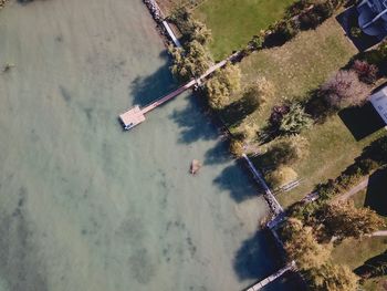 High angle view of trees on shore