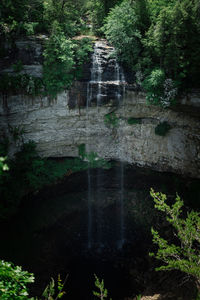 View of waterfall in forest